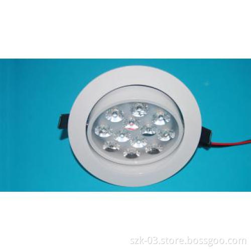Edison LED Ceiling light / 12W with Swivel fitting